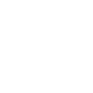 Corona BDME