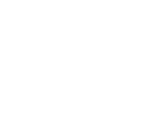 Puma BDME