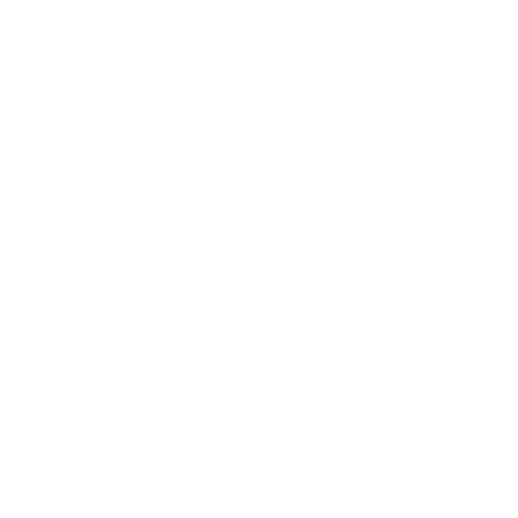 Proton BDME