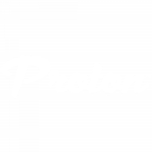 Proton BDME